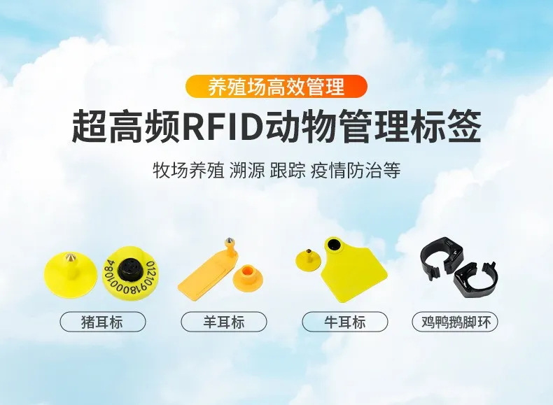 3878706a-55d6-42ae-8577-fcbfc8e14b67 3878706a-55d6-42ae-8577-fcbfc8e14b67