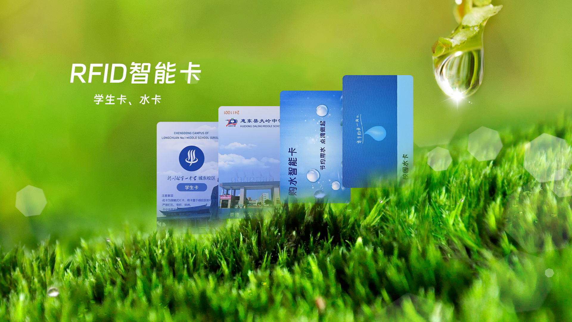 微信圖片_20250319112821