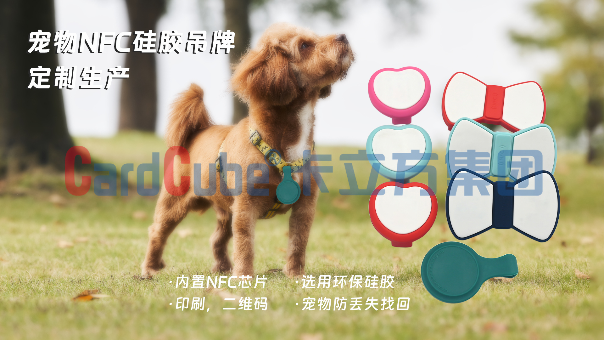 微信圖片_20250305173845